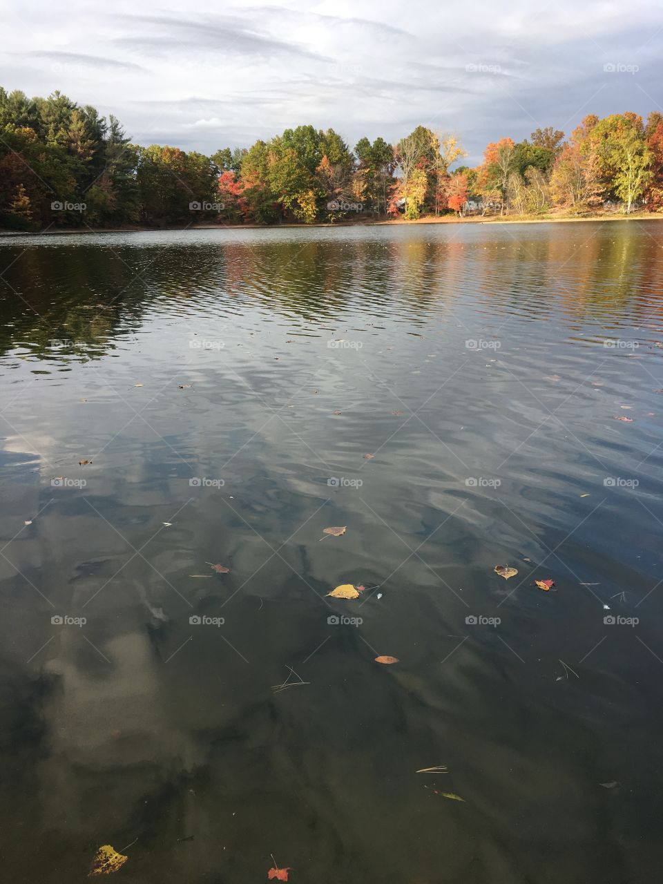Paderewski Pond this fall