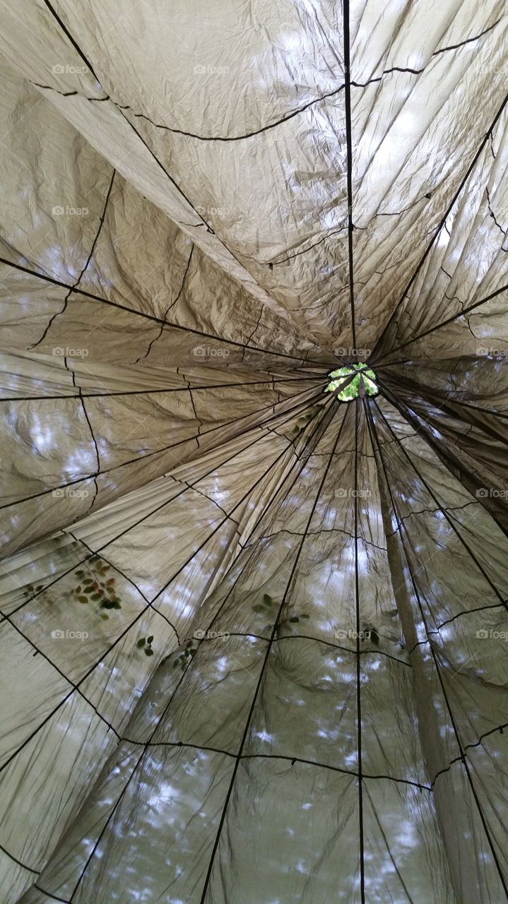 A parachute tent in the woods
