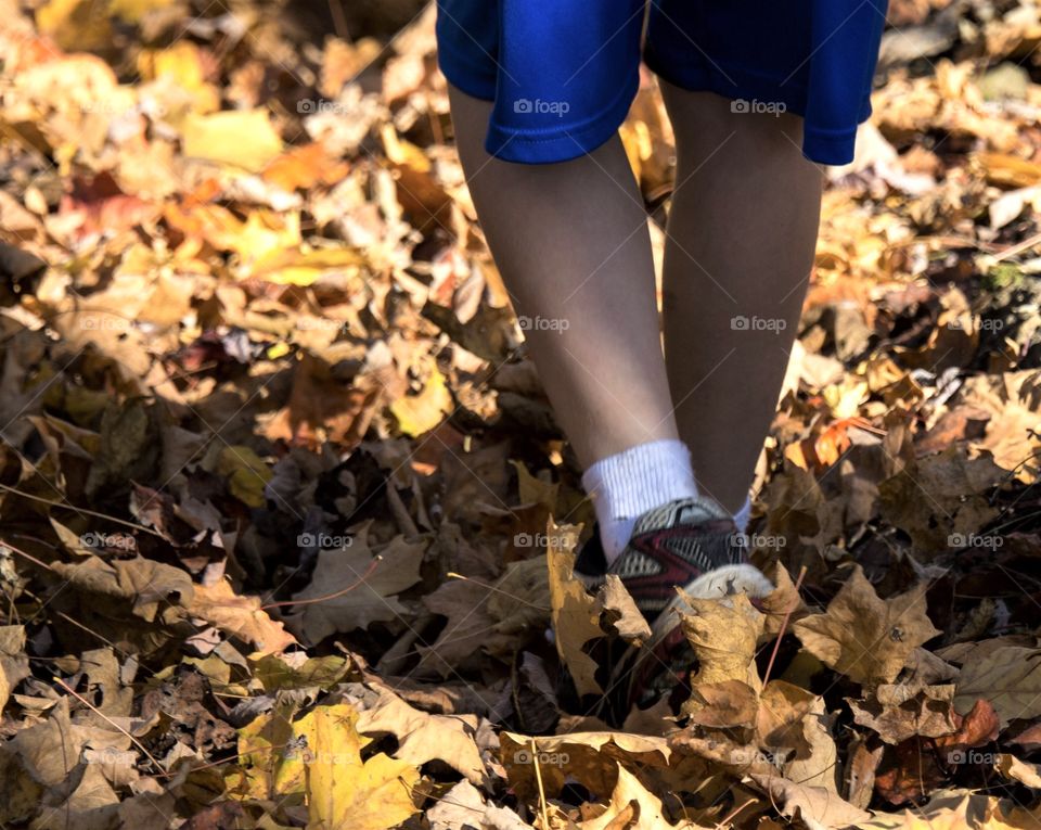 Autumn hiking, boy walking in leaves