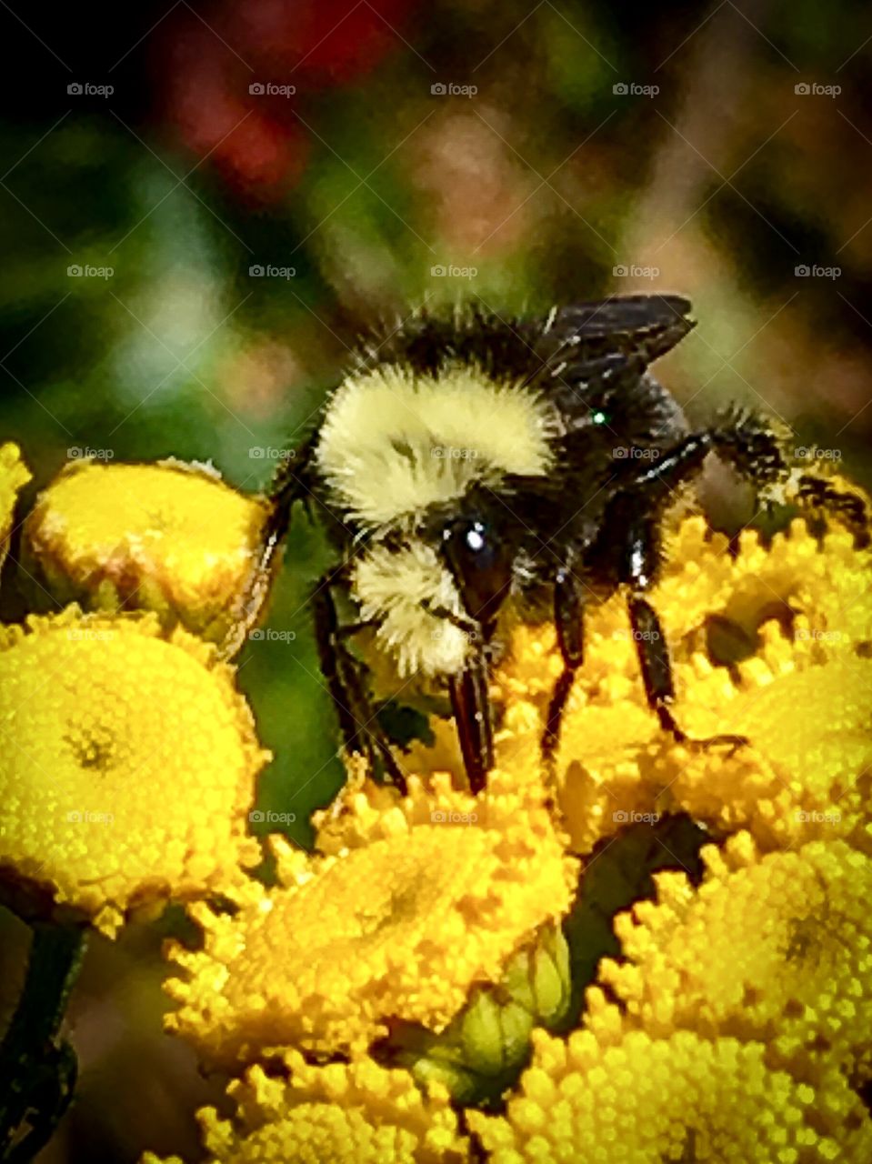 Yes? Is There Something I Can Help You With?