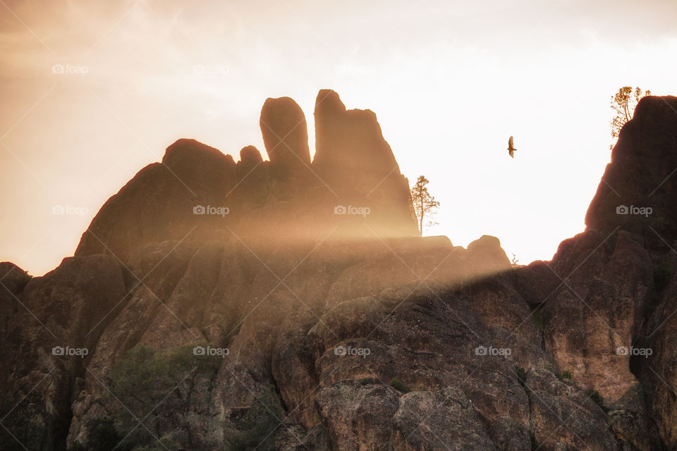 A condor soaring high over the rock formations at Pinnacles National Park