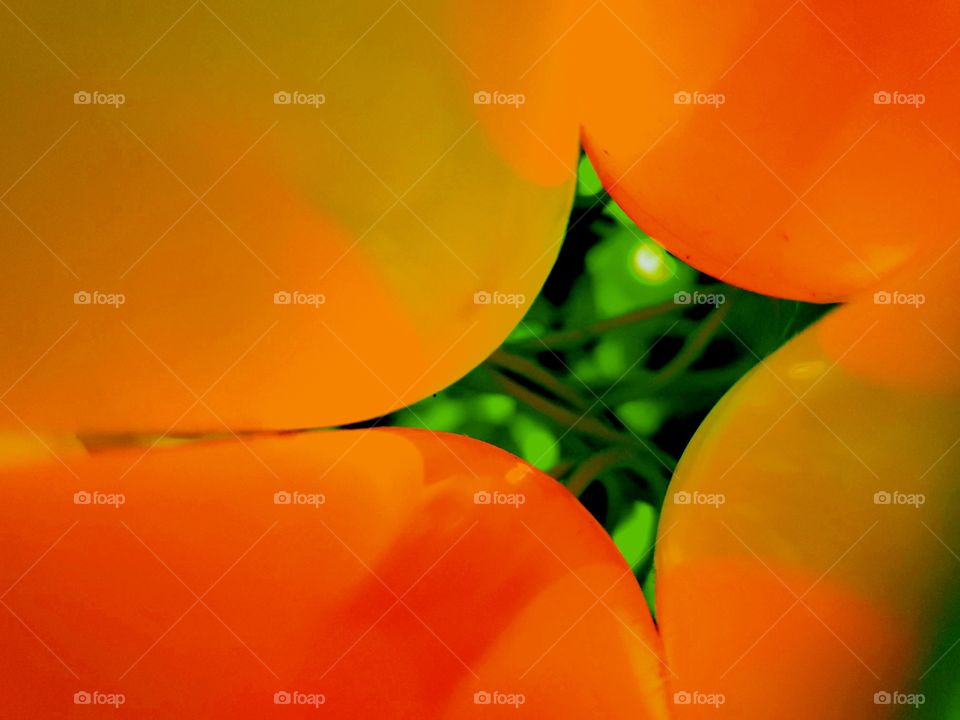 Artificial orange light and green light abstract photo