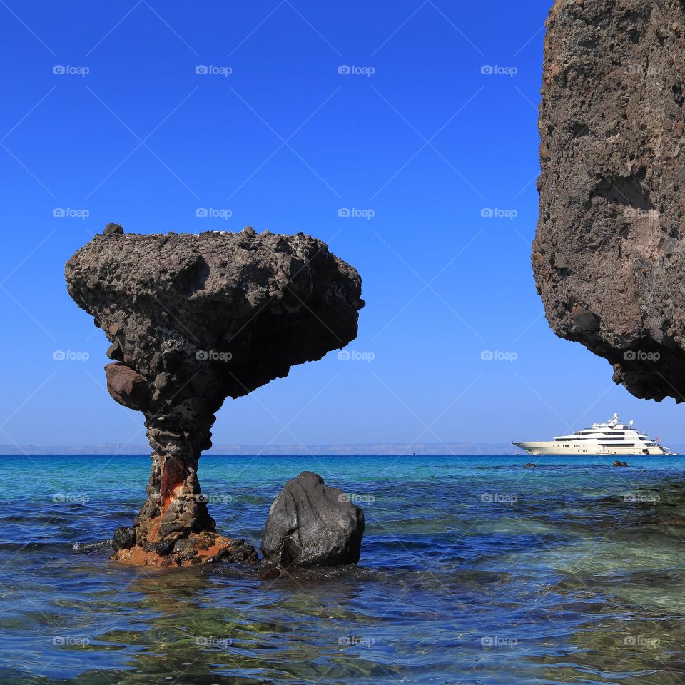 mushroom from Balandra, Mexico