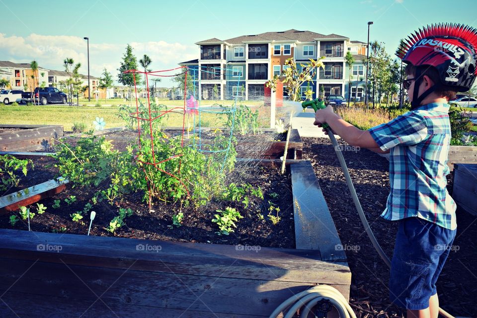 Gardening 