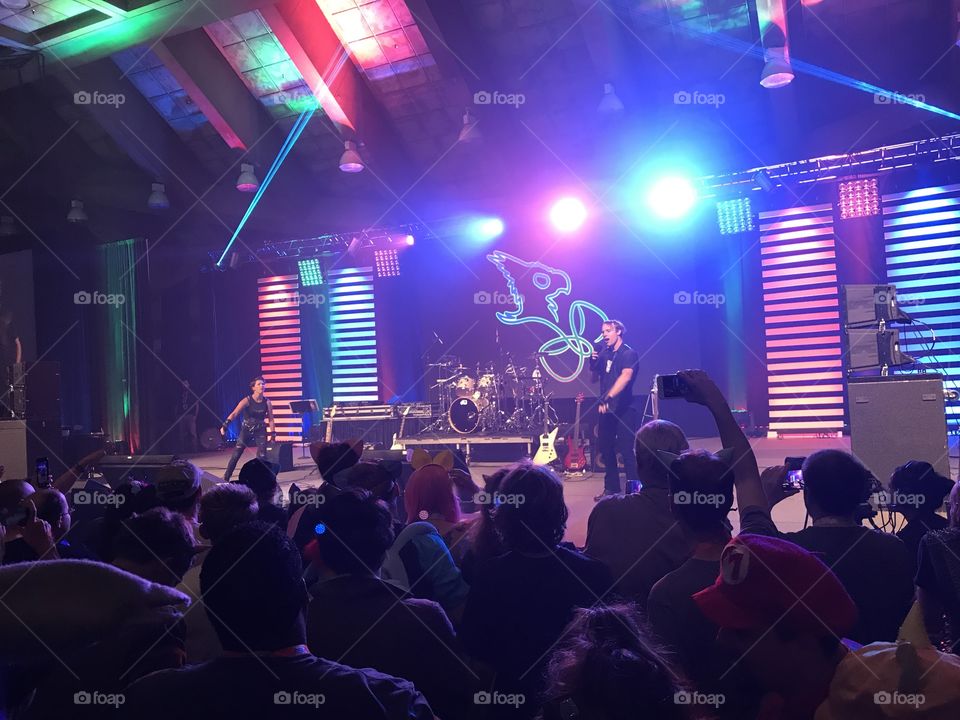 Performance, Music, Concert, Musician, Band