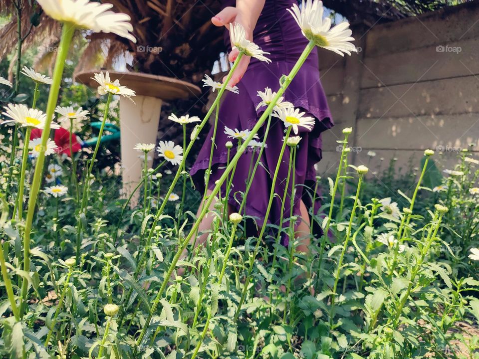 Walking in the garden