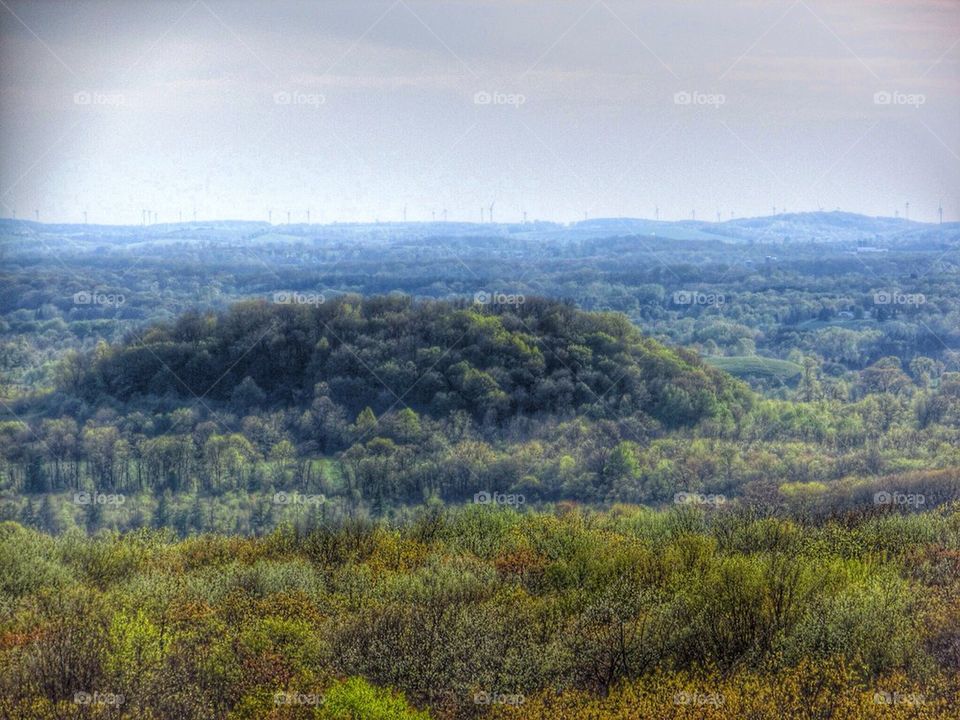 Beauty is everywhere