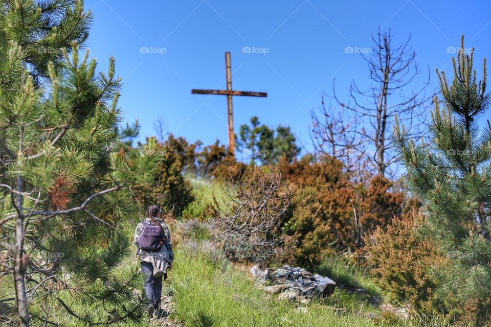 Walking in the forest