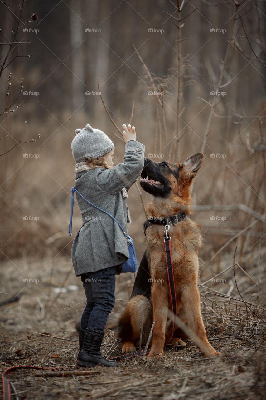 Little girl with German shepherd young male dog walking outdoor at spring day