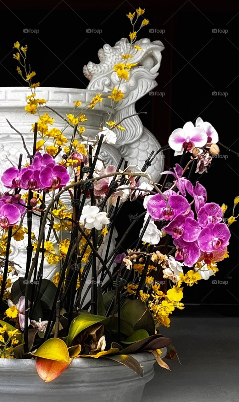 Purple and yellow orchids in a planter in front of a white Buddhist incense burner