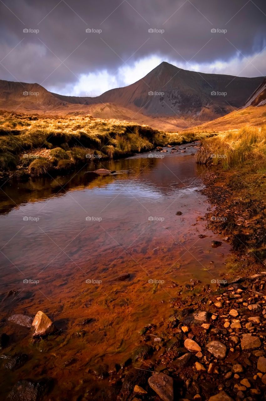 Mountain stream 