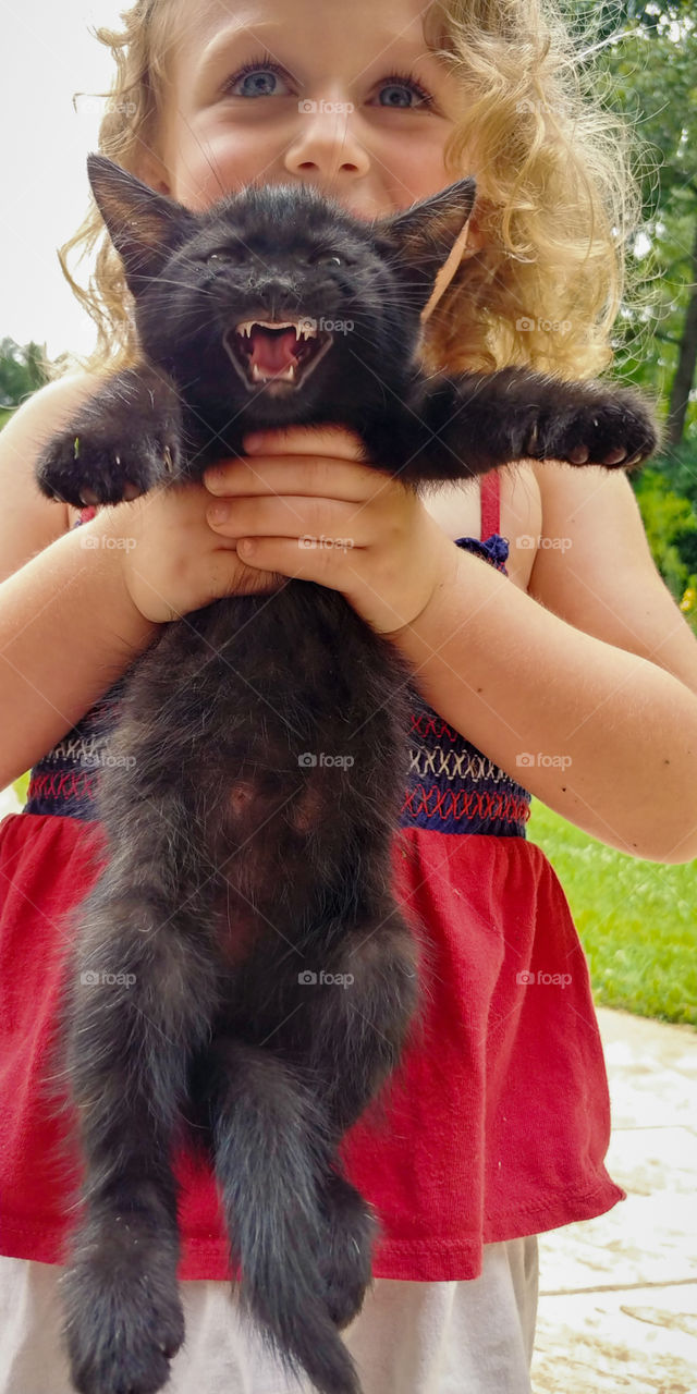 Little girl loves her new kitten just a little too much. Terrified kitten, happy kid.