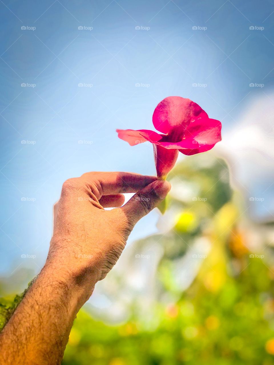 If you love nature, you will find beauty anywhere.