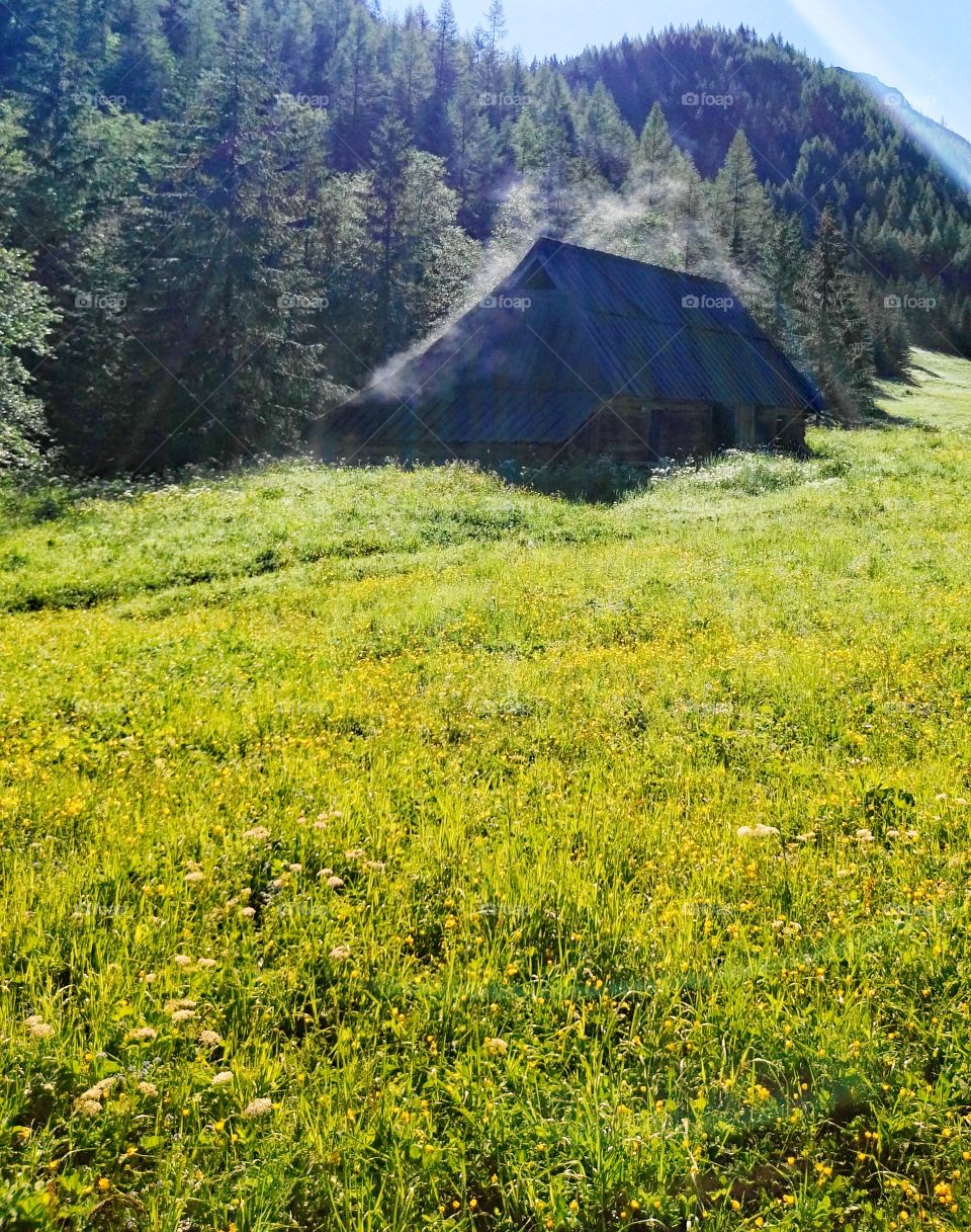 Mountain hut