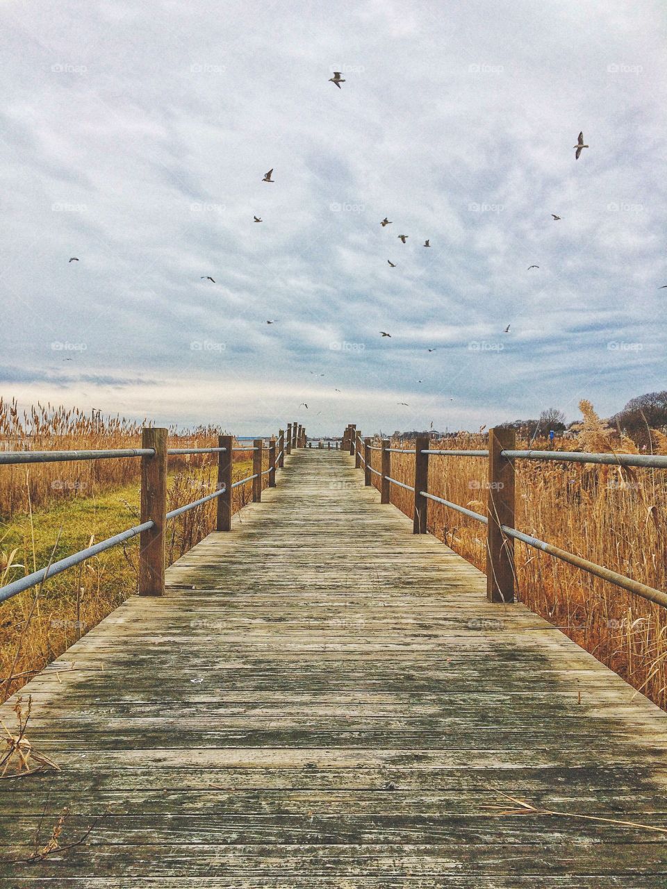 Boardwalk...