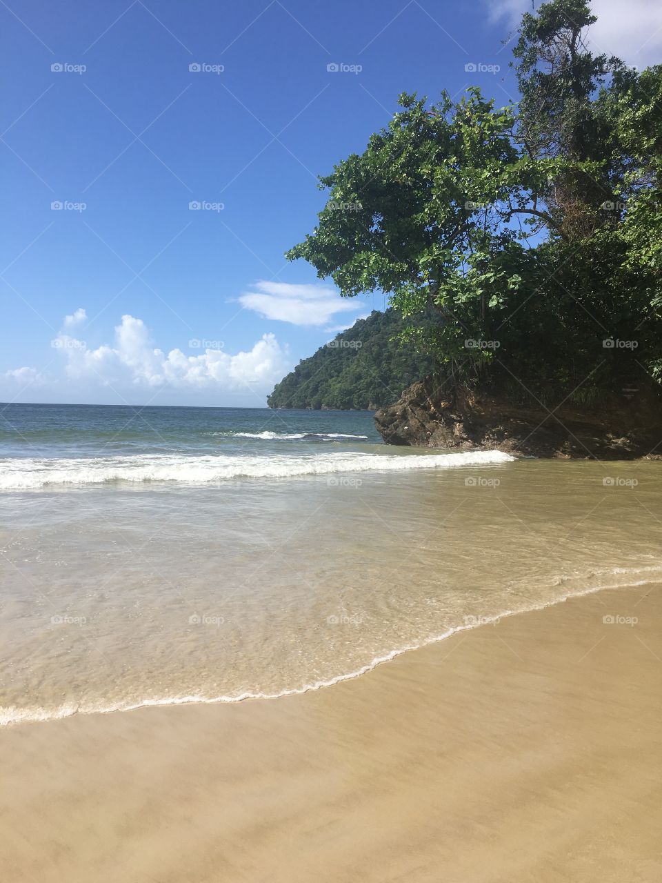Just a little vacation in Trinidad. Beautiful day to go to the beach and I captured this beauty!