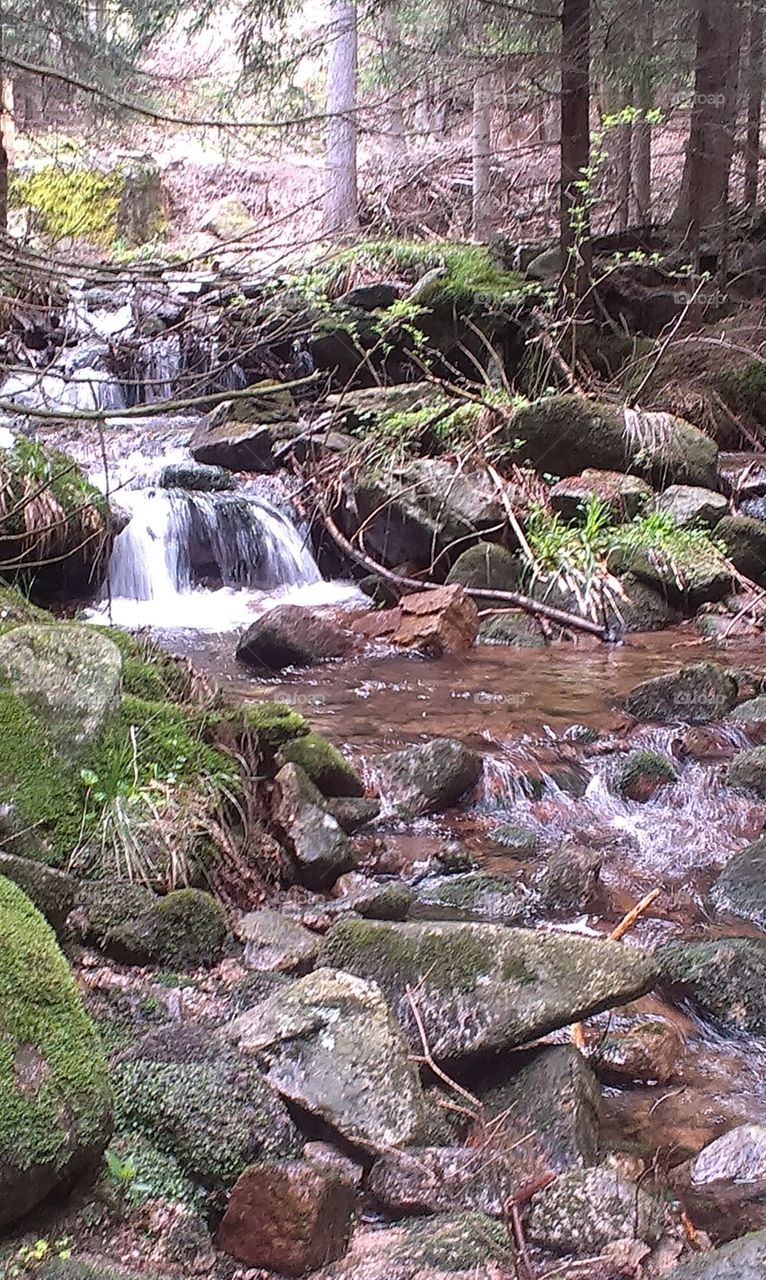 górski potok,  mountain River 