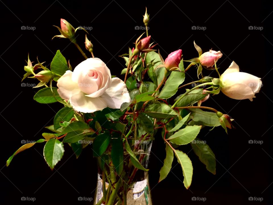 Bouquet of Roses in Vase