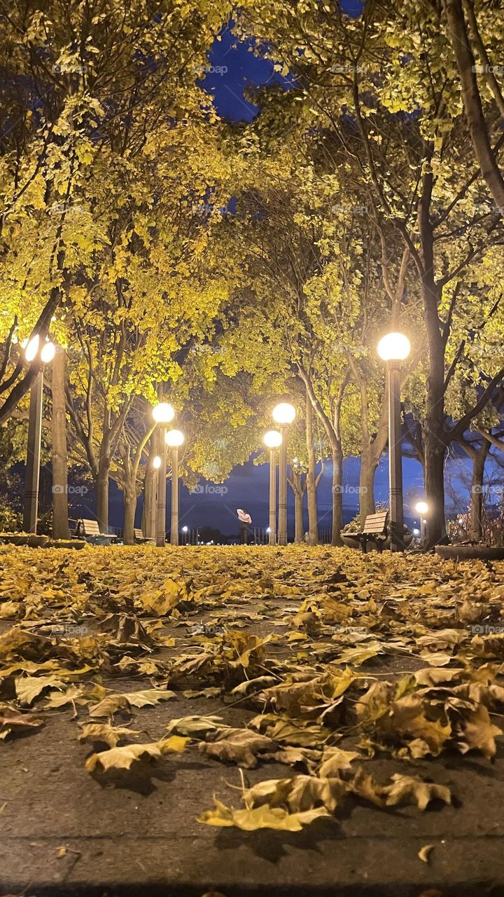 Walking through a the park at night