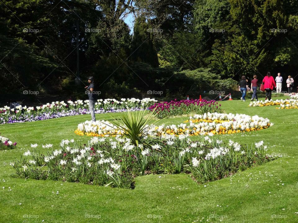 people in the gardens