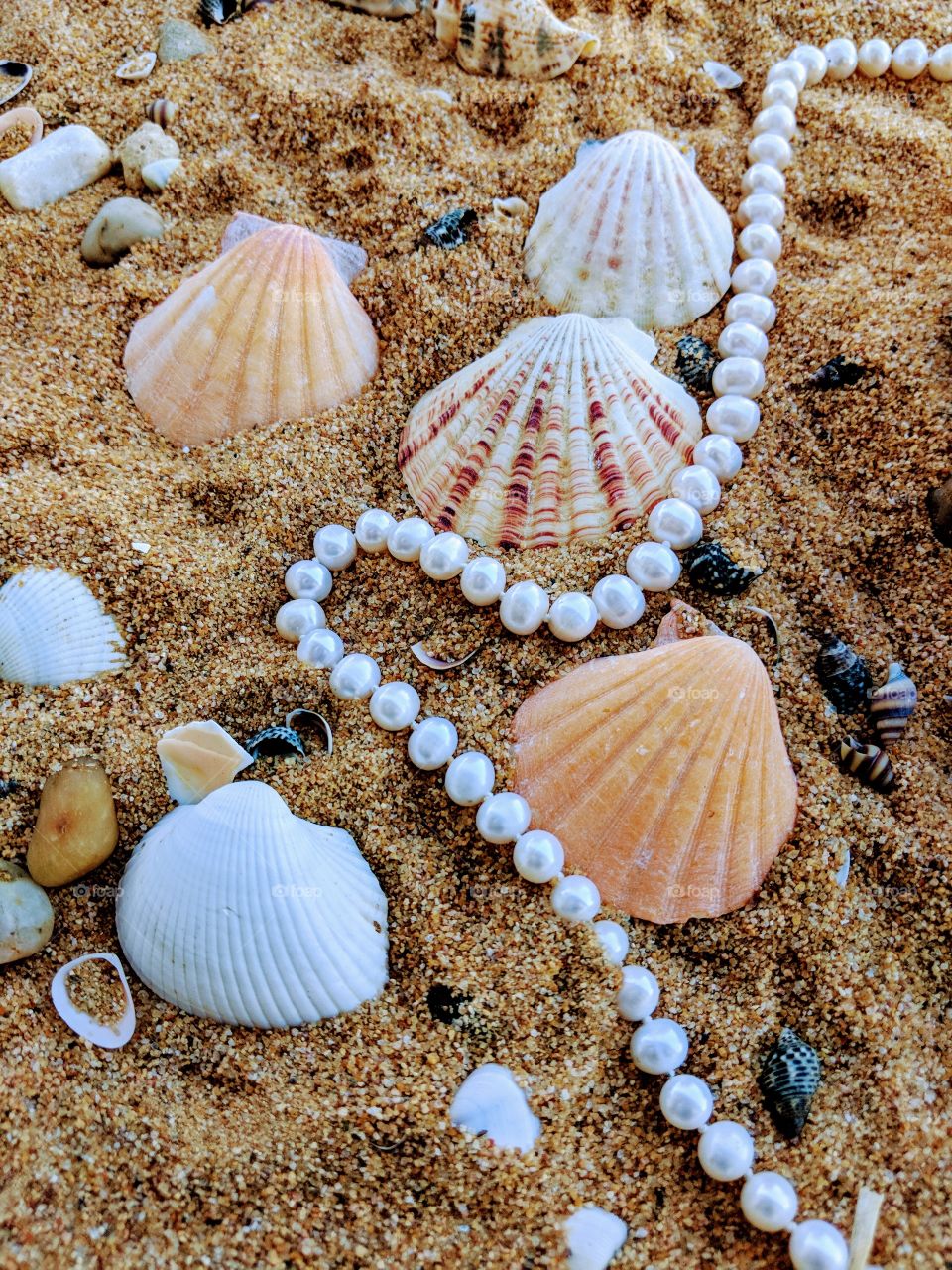 Pearls and shells