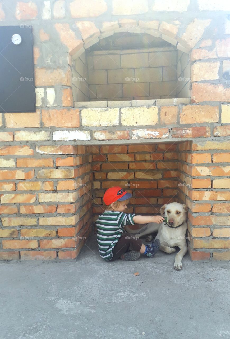 little boy with a dog