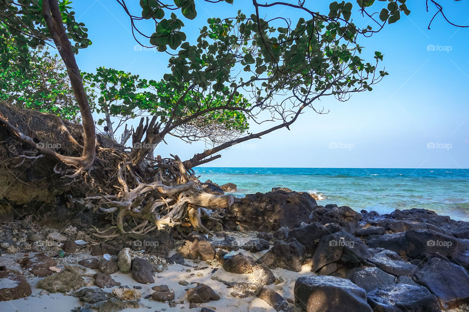 One of the islands around Krakatoa volcano, Lampung Indonesia - 2014