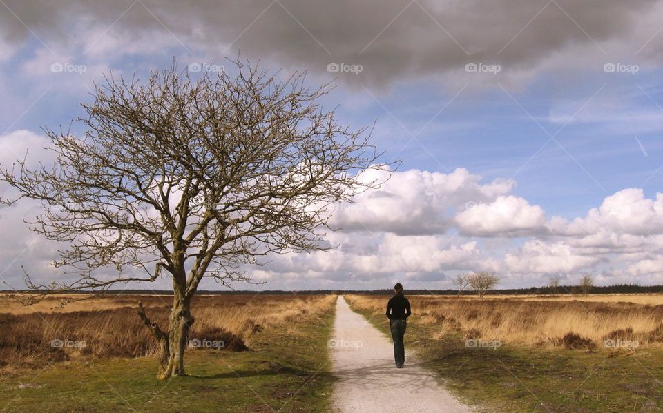 Landscape with woman walking away.