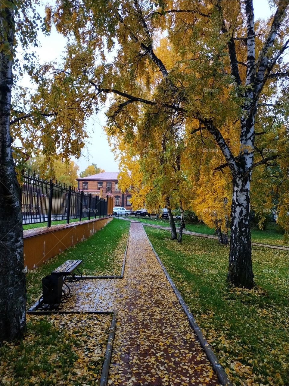 Autumn in Siberia. Yeniseisk.Russia. Autumn walk.