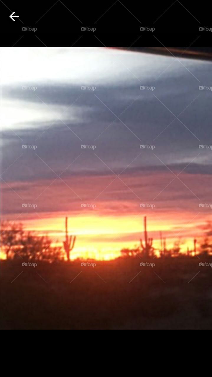 sunrise, taken by my husband