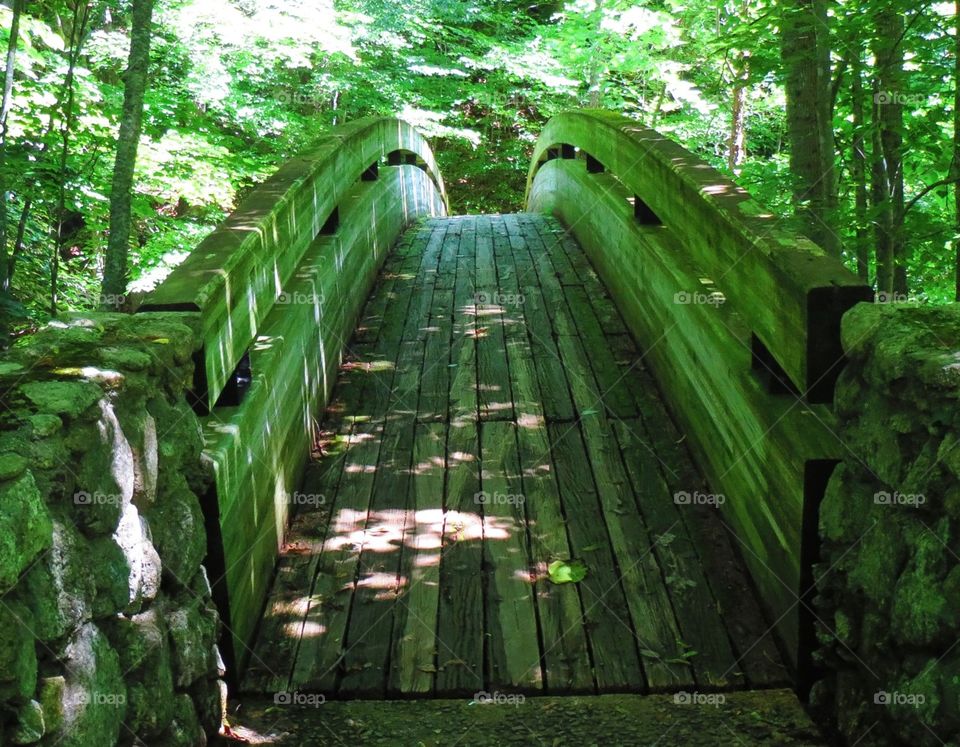 Onward. a bridge over a mountain stream, reminding us of passages and life's transitions, to new and beautiful things