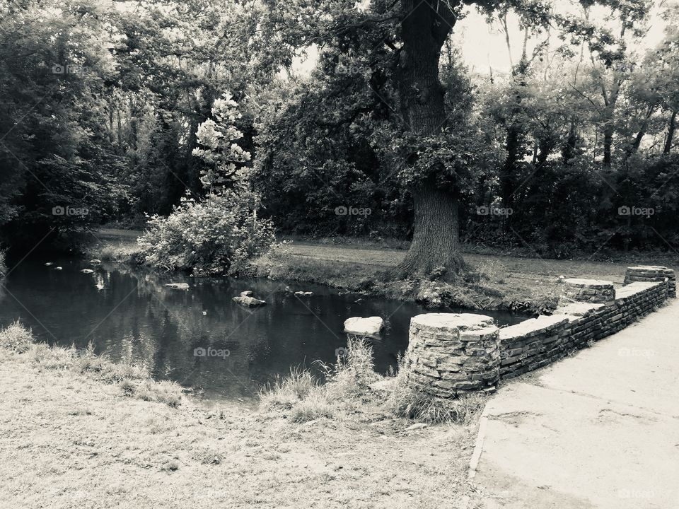 Cross the bridge with style 👅