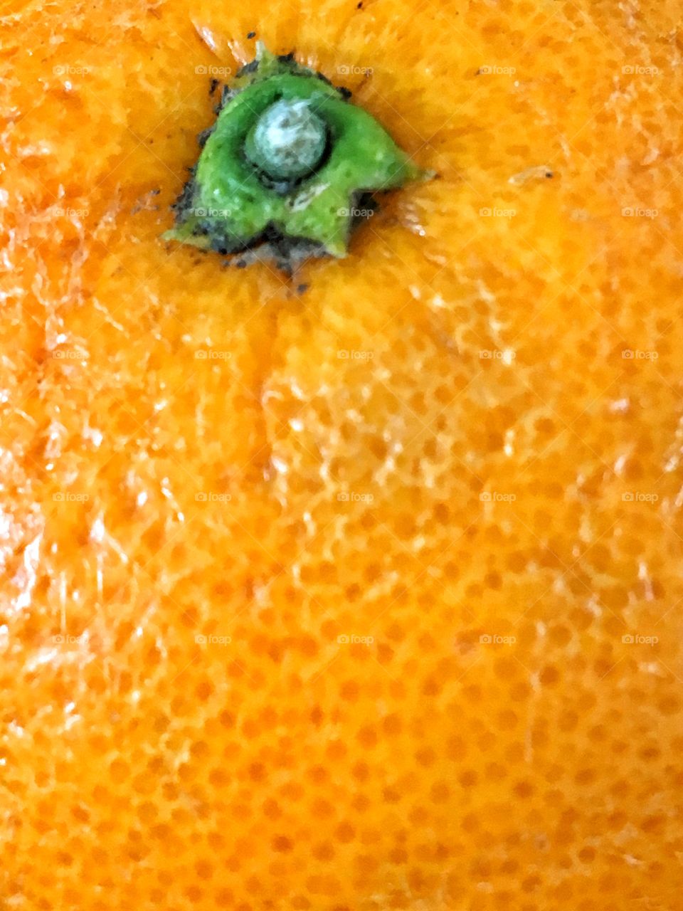 Orange close up