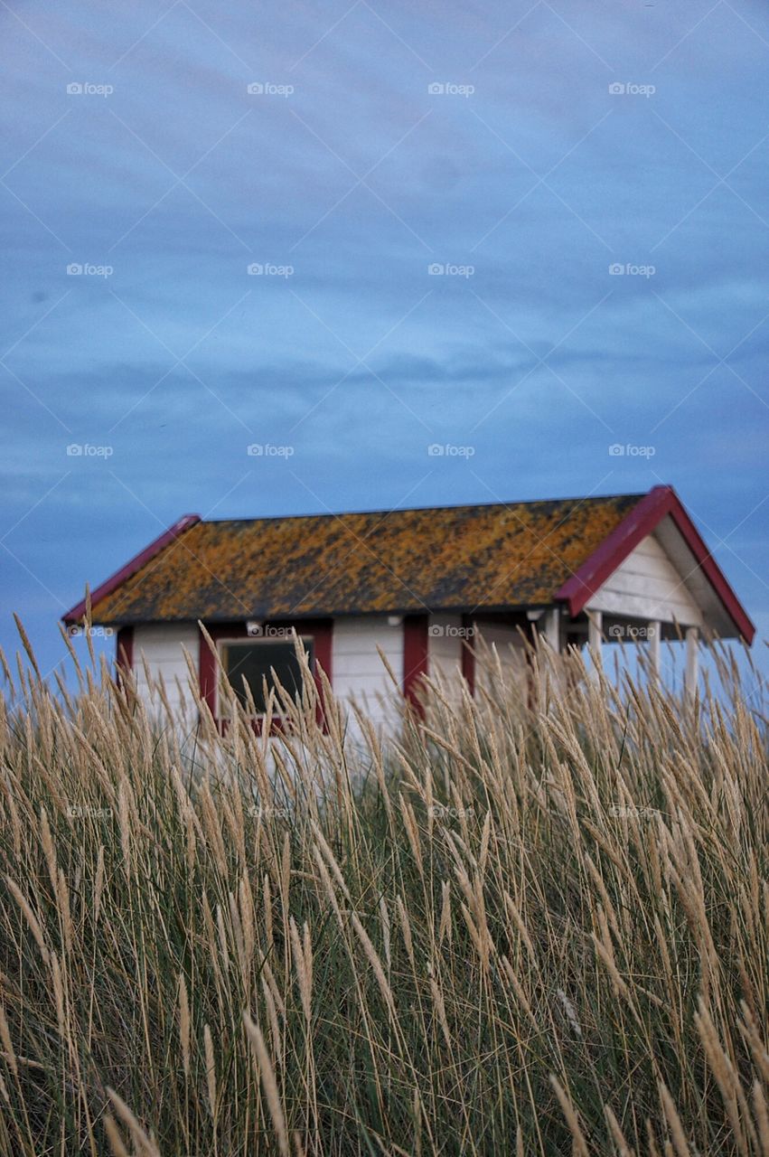 Beachhut in sanddunes 