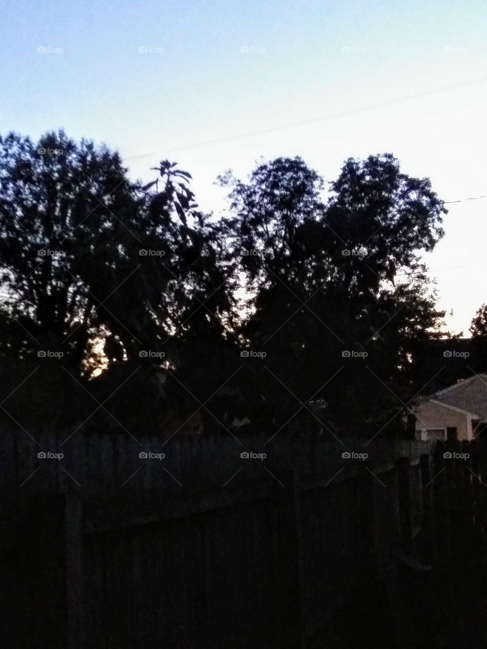 twilight in the suburbs
