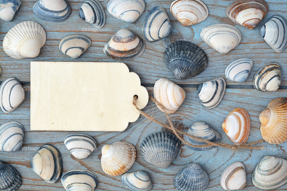 striped sea cockle shells on a beach wooden background with a empty copy space tag made of wood