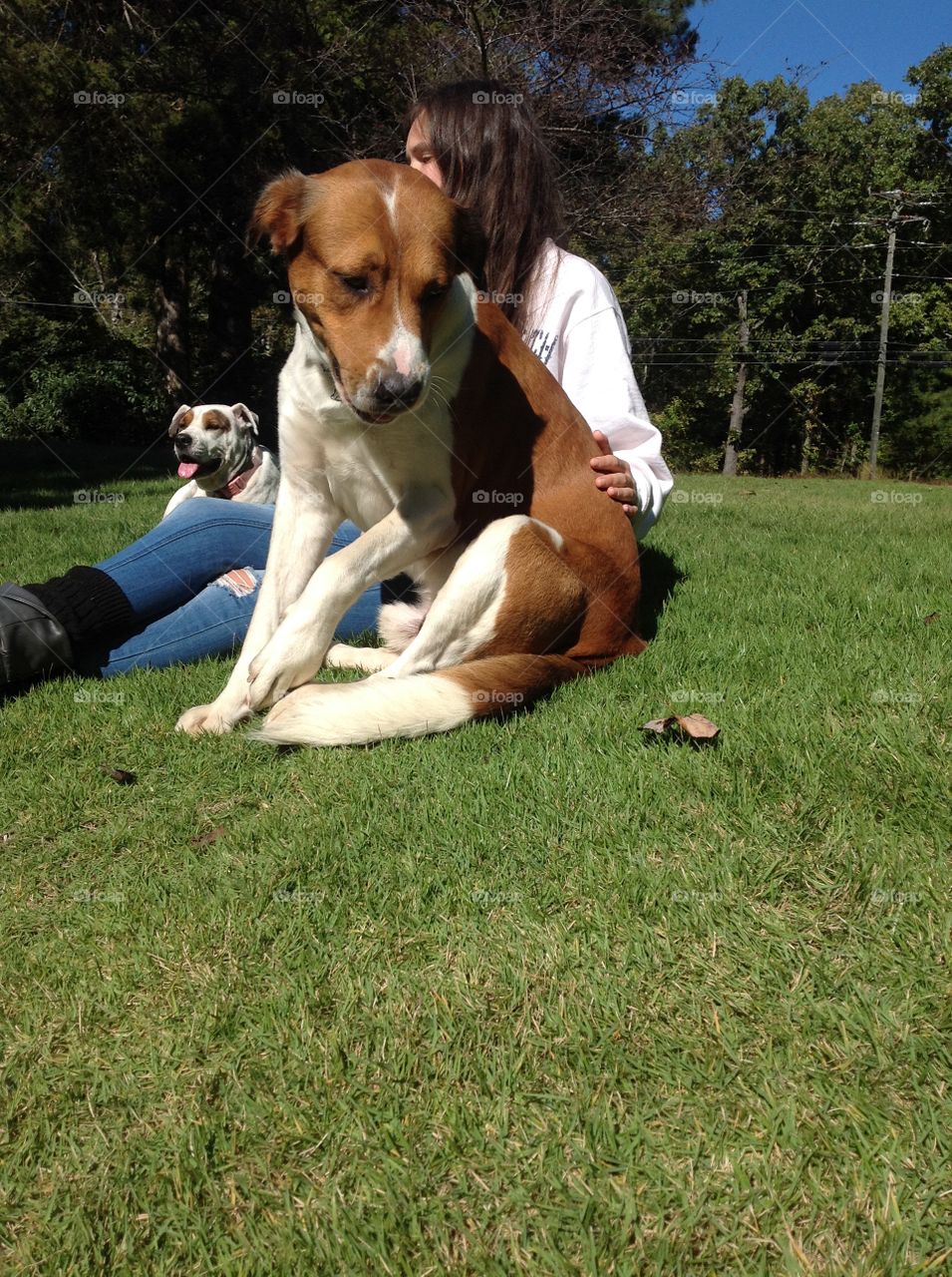 Woman with Her Animal Friends