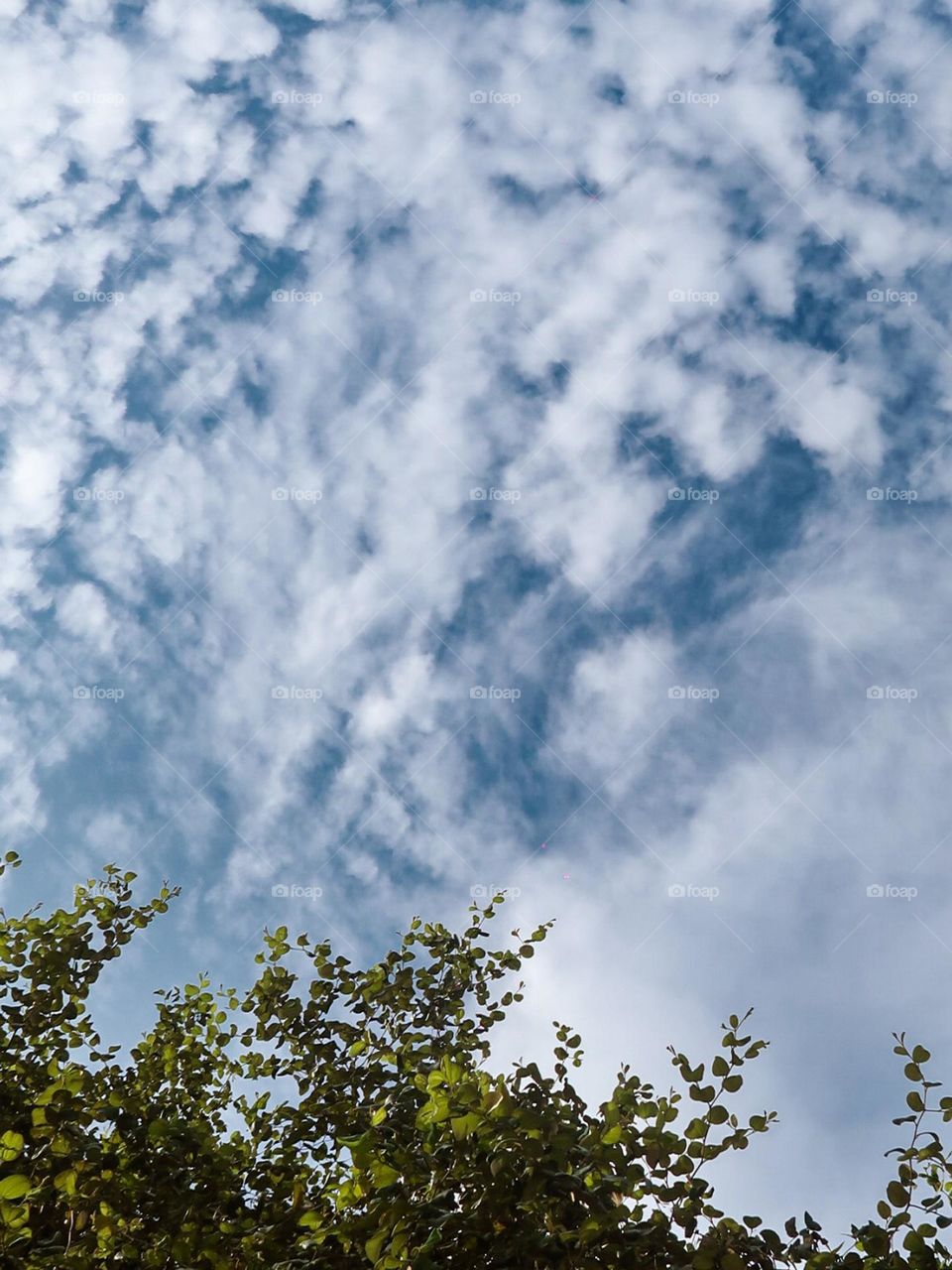 The white clouds look like cotton scattered in the air