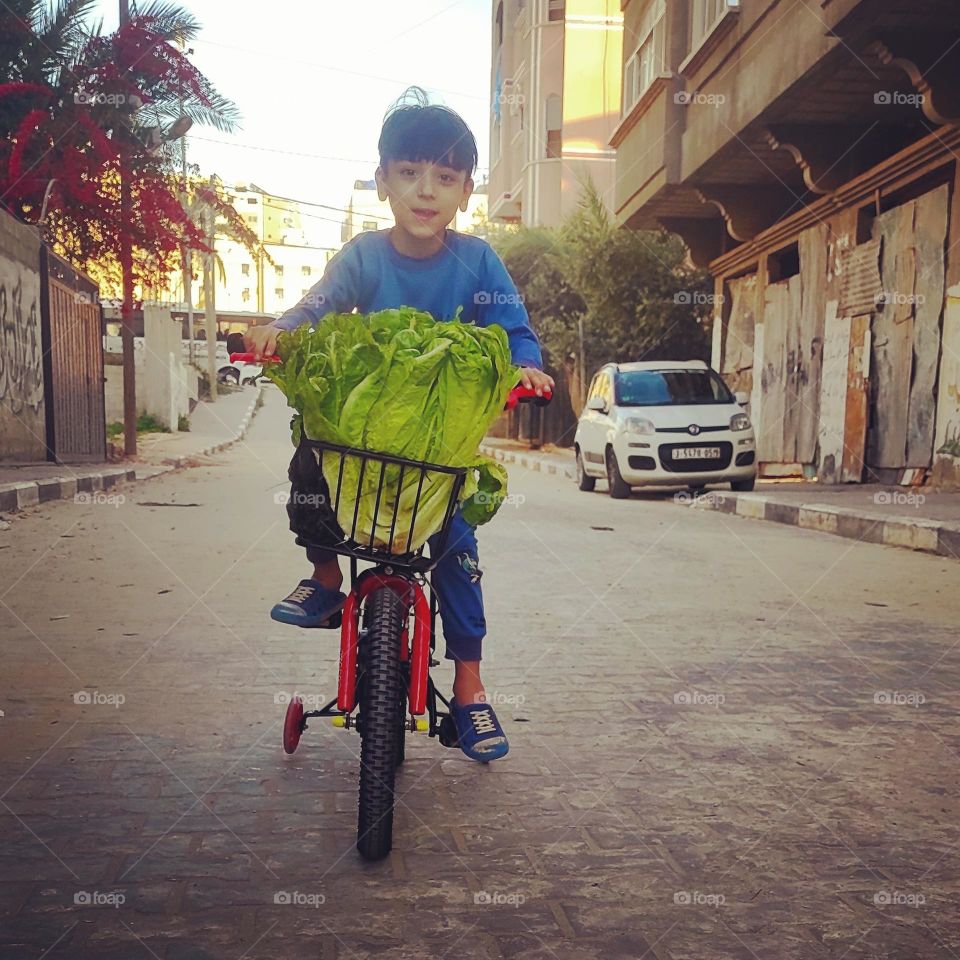 My little boy went to the store and bought lettuce
