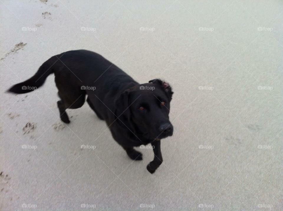 Shadow on the beach 