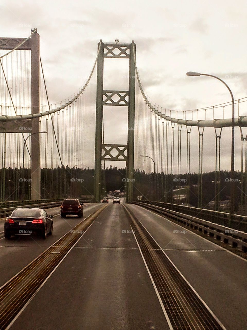 I love the trees in Washington and Oregon,  but the bridges connecting it all is best