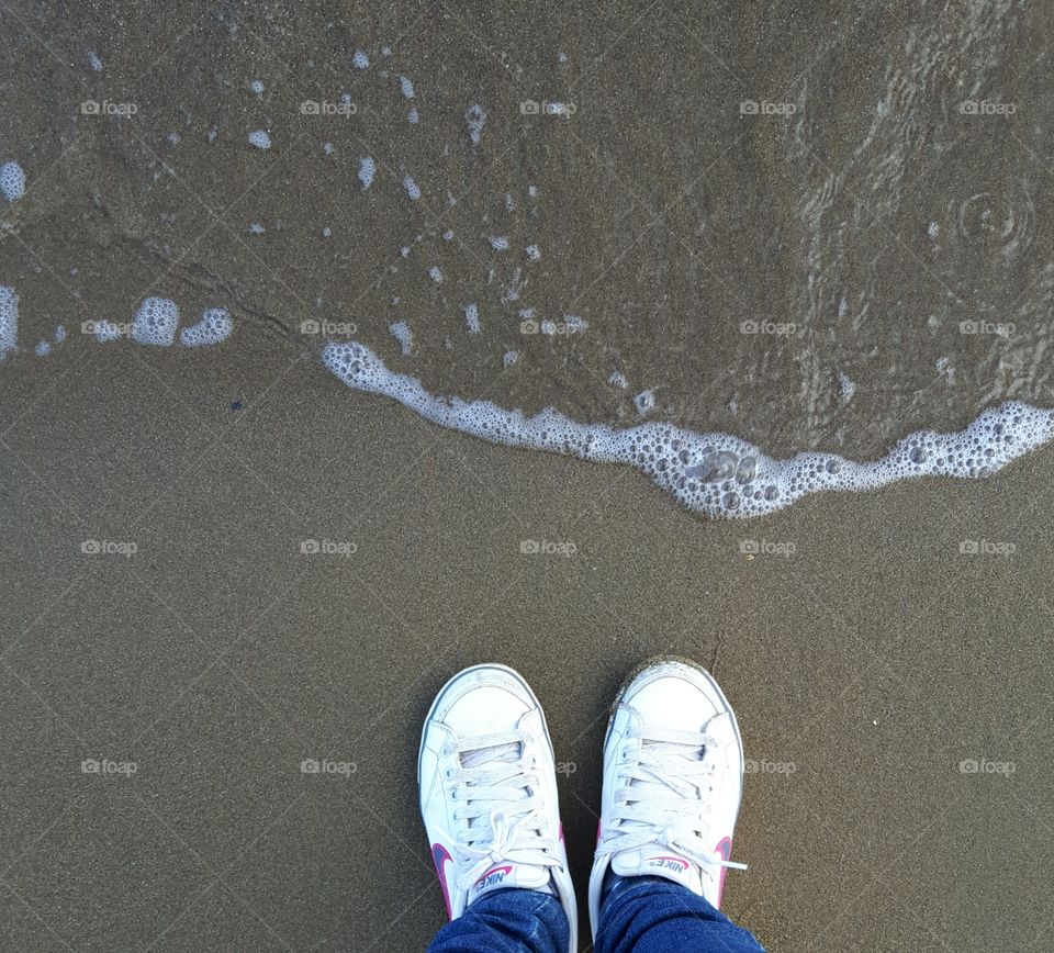 white shies in the sea