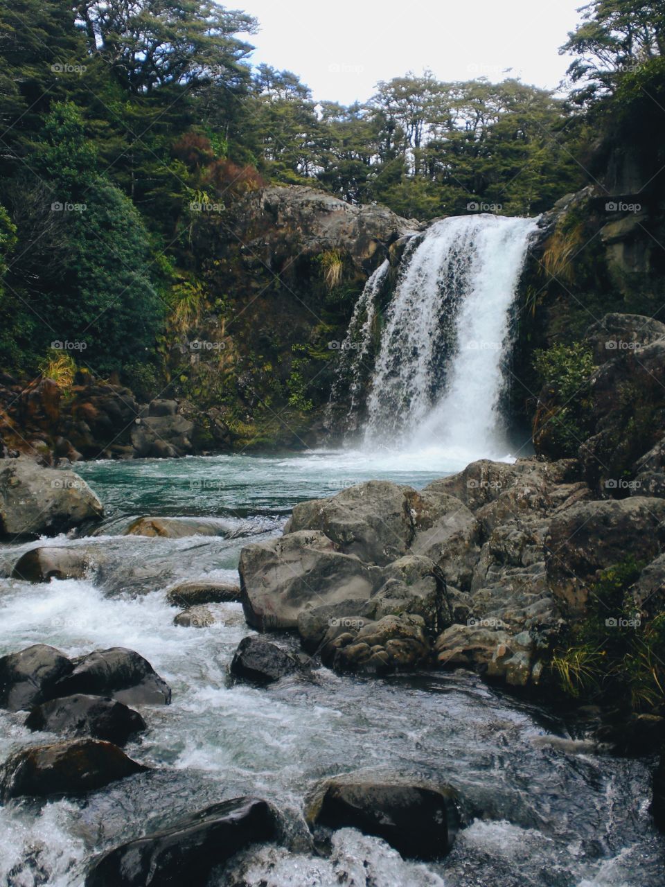 New Zealand Sights 