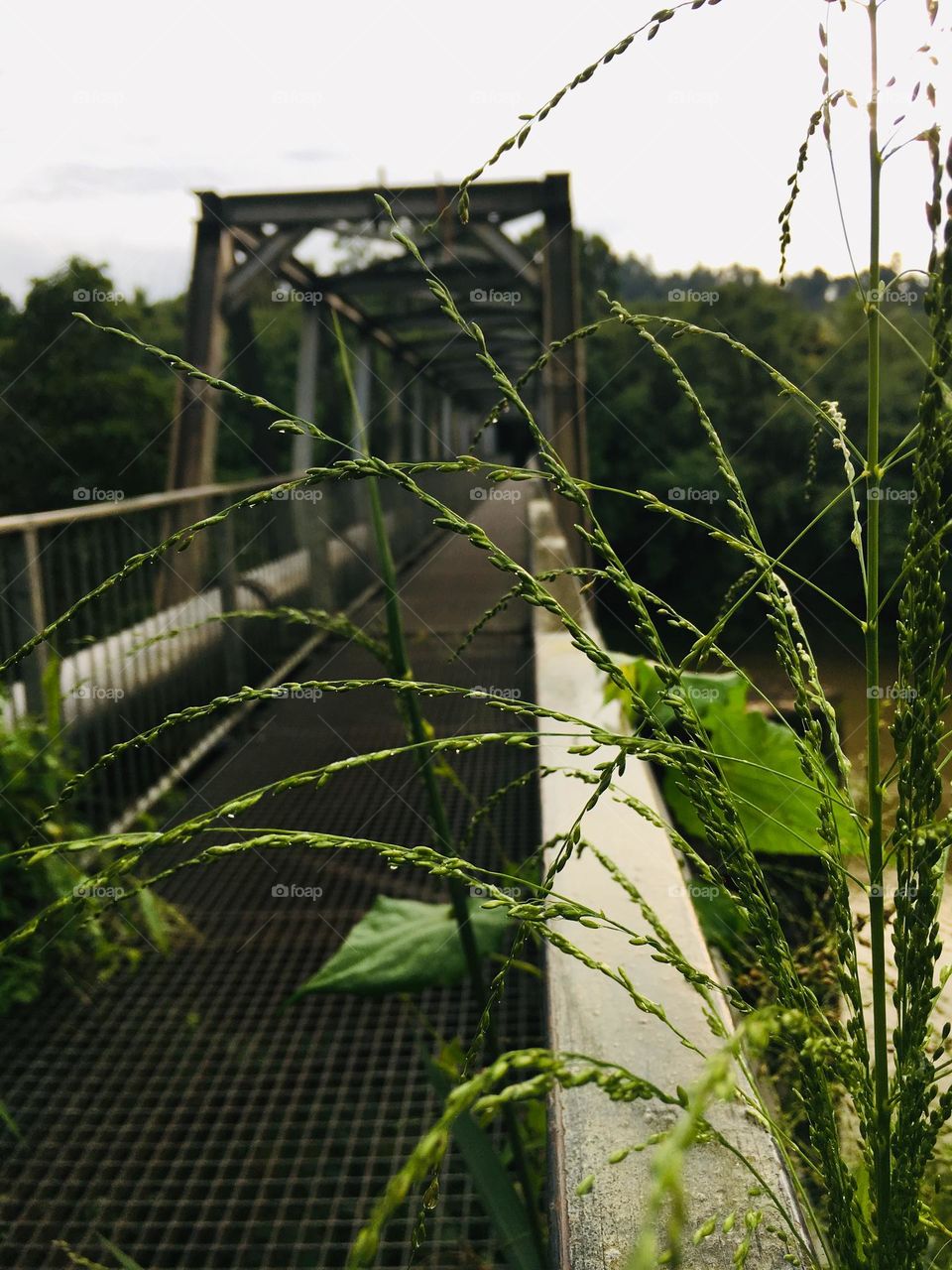 One of a beautiful bridge of our village🤩
