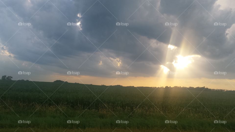 rolling clouds over corn field