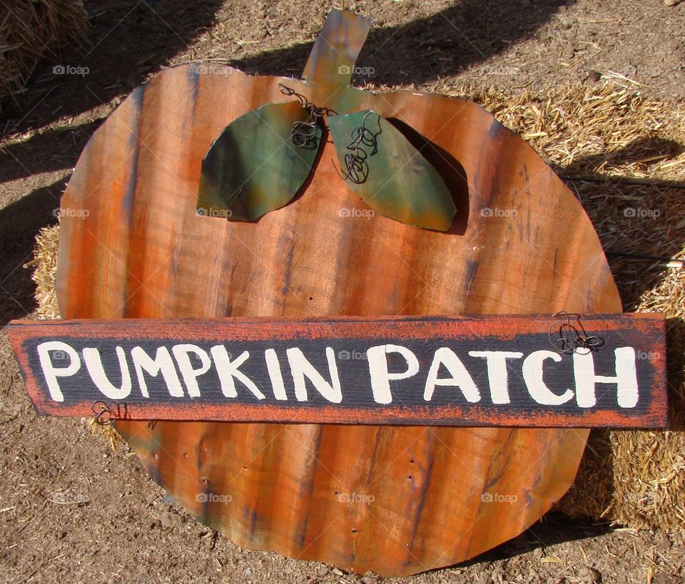 Pumpkin patch