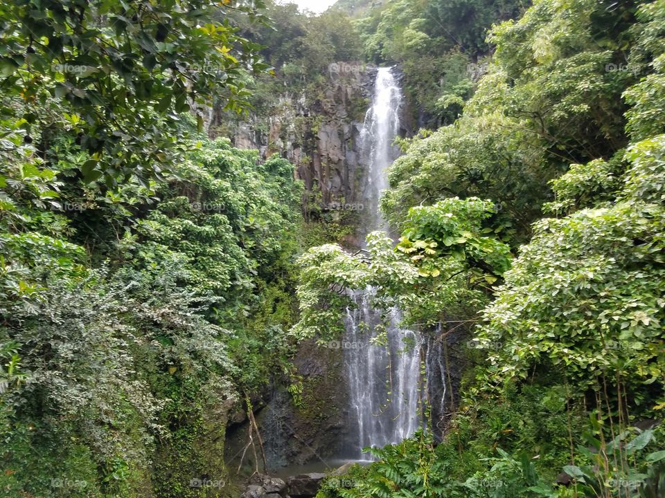 Waterfall on the Road to Hana