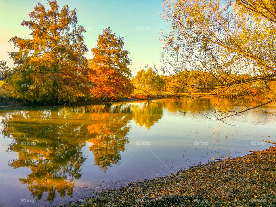 Autumn trees reflecting on lake