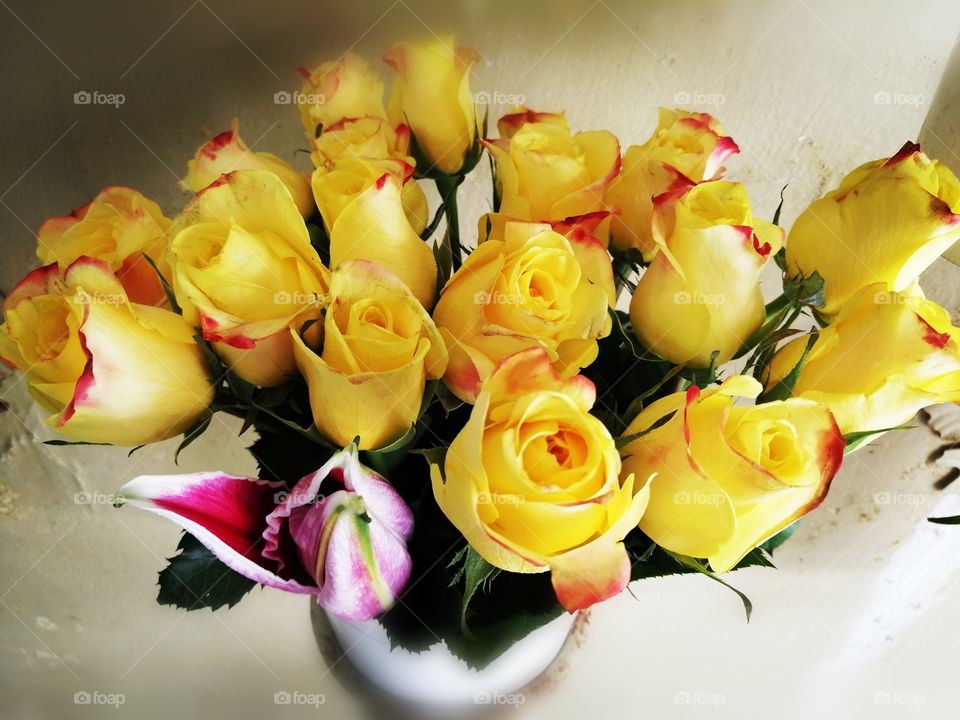 Yellow roses