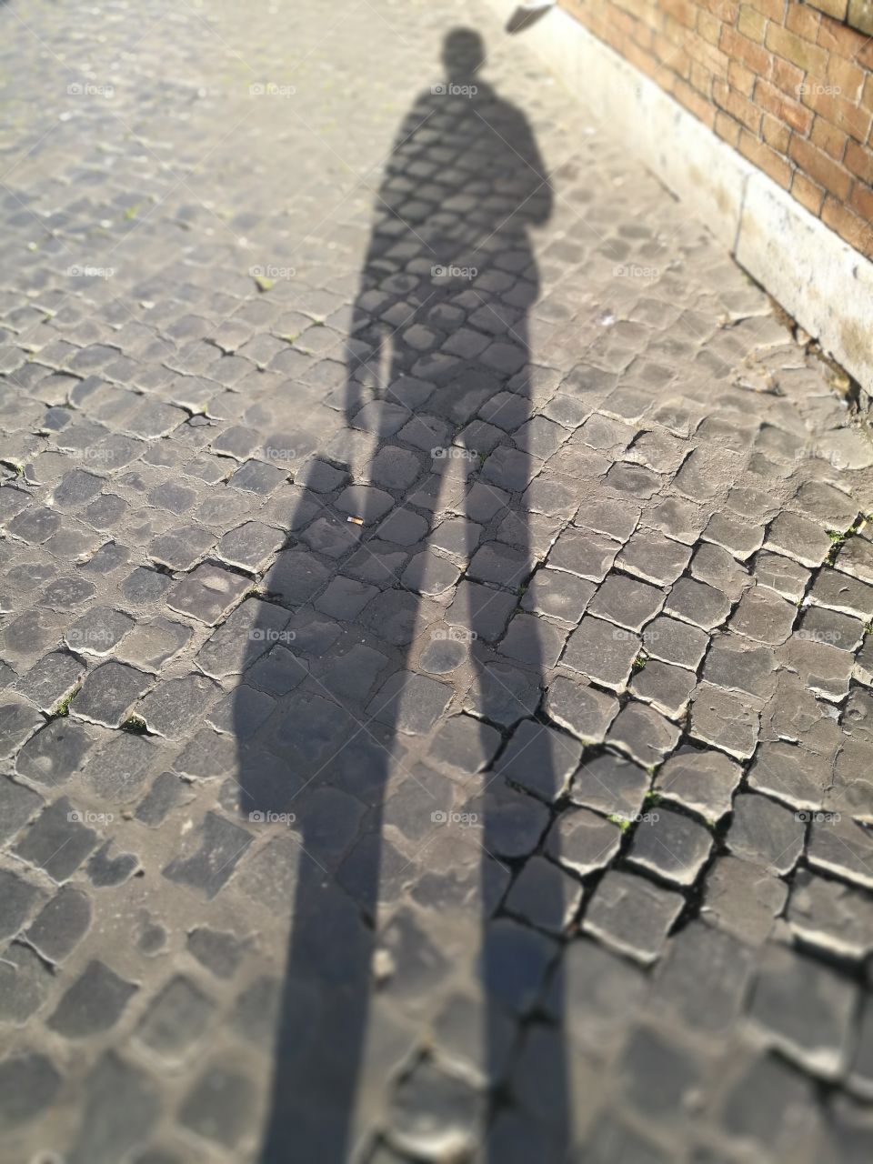 the art of shadow picture